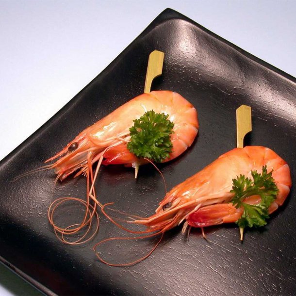 Bamboo teppo skewers Dolphin 200 pcs 12cm