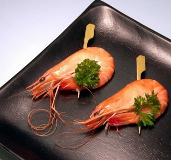 Bamboo teppo gushi skewers Dolphin 200 pcs